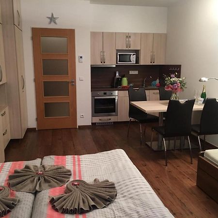 Apartment Medvedin 87 Шпіндлерув-Млин Екстер'єр фото